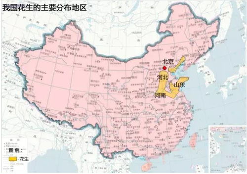 东莞物联网系统公司有哪些（东莞地区知名物联网企业推荐）