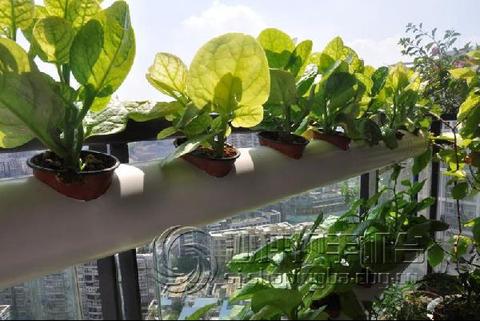 物联网系统工具有哪些功能（探索物联网系统的多功能性）